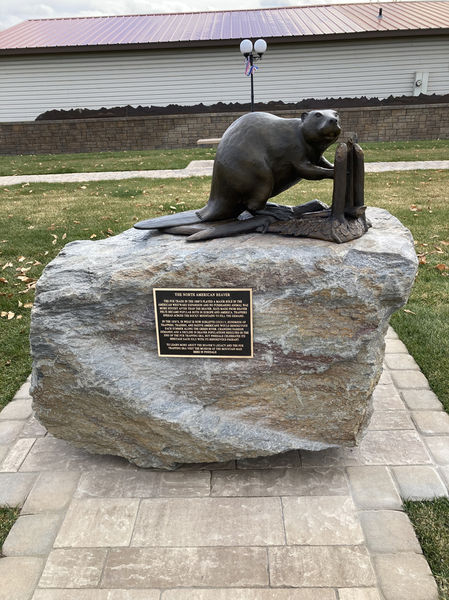 Bronze Beaver. Photo by Dawn Ballou, Pinedale Online.