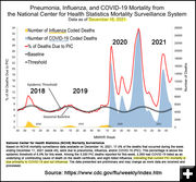 Covid vs Flu Deaths. Photo by Pinedale Online.