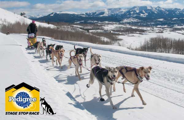 Pedigree Sled Dog Race. Photo by Pedigree Sled Dog Race.