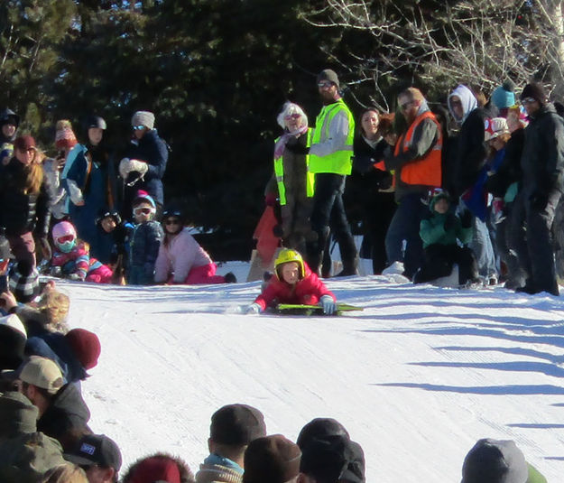 Laying flat. Photo by Dawn Ballou, Pinedale Online.