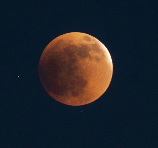 Lunar Eclipse. Photo by David Rule.