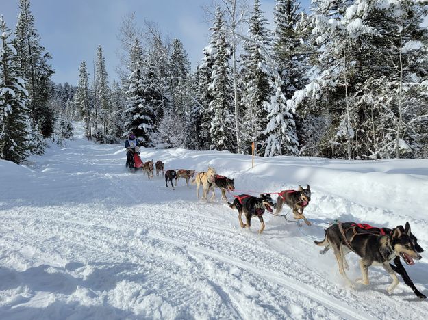 Jackson Stage. Photo by Pedigree Stage Stop Sled Dog Race.