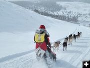 Lander Stage 2. Photo by Pedigree Stage Stop Sled Dog Race.