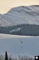 Flying Sheep. Photo by Rob Tolley.