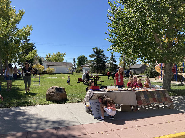 Lemonade. Photo by Dawn Ballou, Pinedale Online.