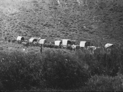 1859 wagon train. Photo by Albert Bierstadt.