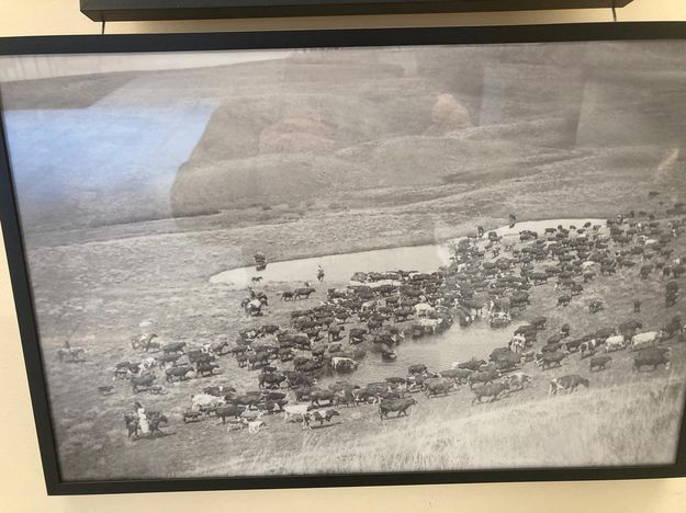 Ranching. Photo by Albert Sommers.