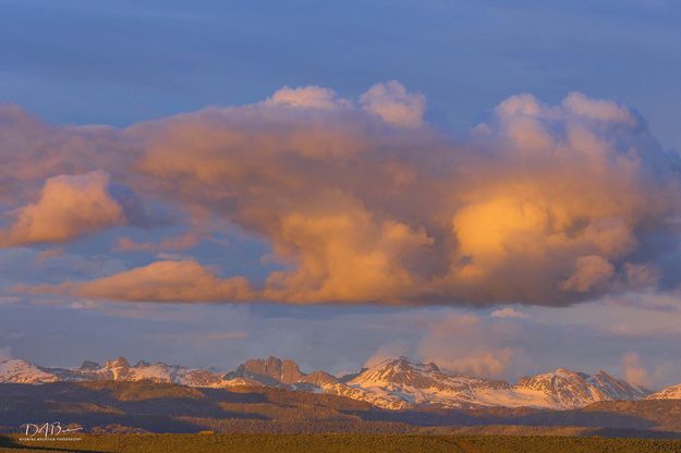 Pronghorn, Bonneville And Raid. Photo by Dave Bell.