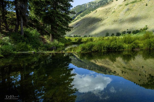 A Beautiful Place. Photo by Dave Bell.