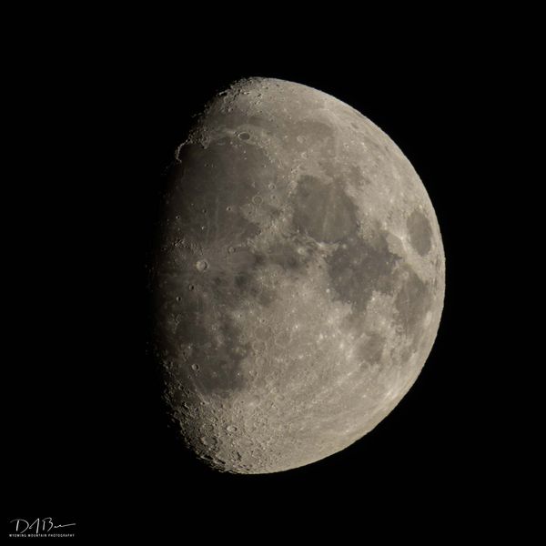 Mackay Moon. Photo by Dave Bell.