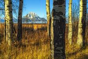 Fall Light And Moran. Photo by Dave Bell.