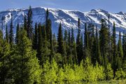 Upper Green River Basin-June 1